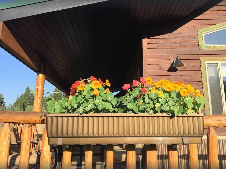 Fox Den Lodge West Yellowstone Ngoại thất bức ảnh